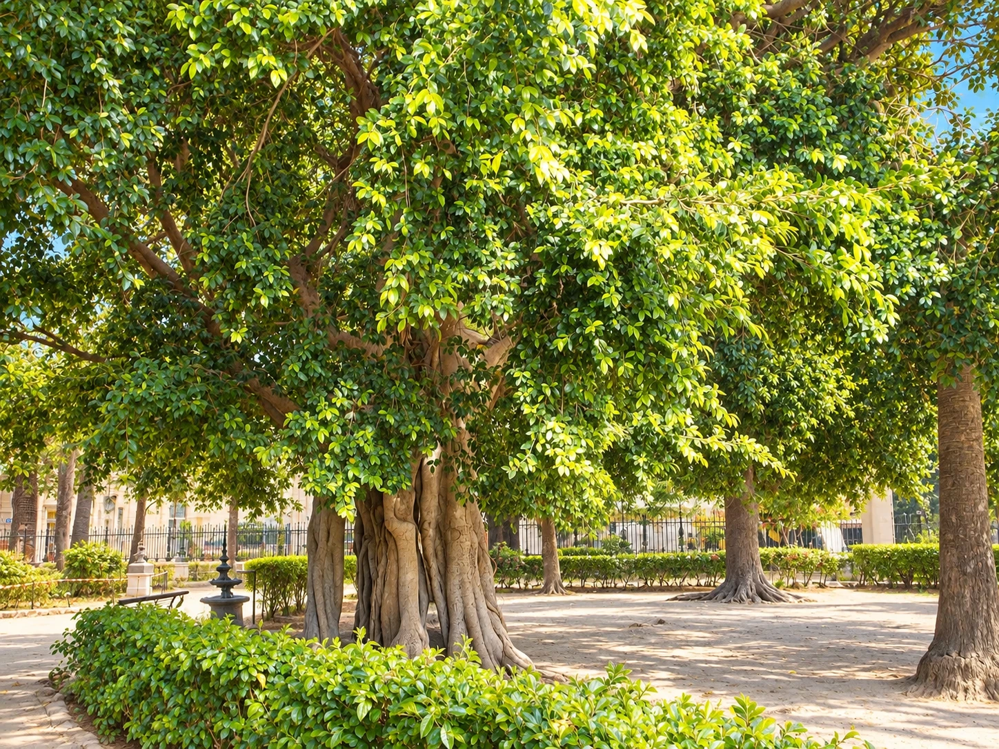 Palermo · Giardino Garibaldi
